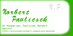 norbert pavlicsek business card